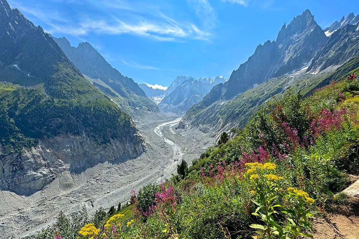 Mer de Glace Glacier and summer flowers in Chamonix France